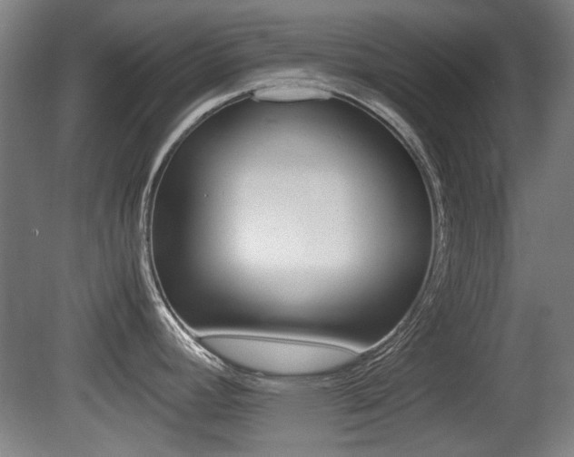 X0000079301392200611170817