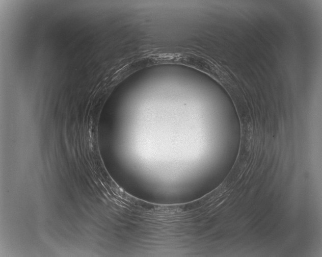 X0000079301394200611170817