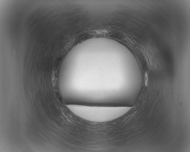 X0000079301395200611170817