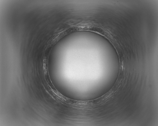 X0000079301396200611170817