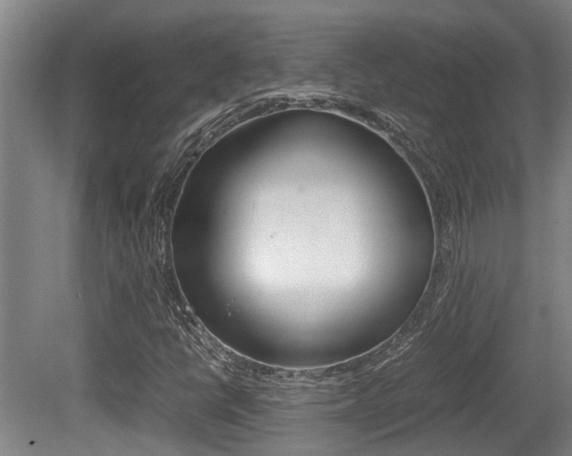 X0000079301398200611170817