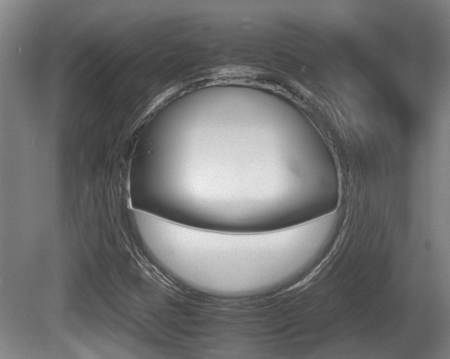 X0000079301401200611170817