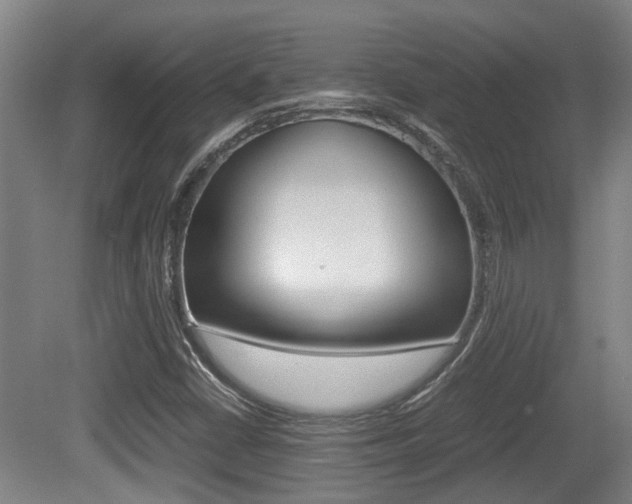 X0000079301402200611170817