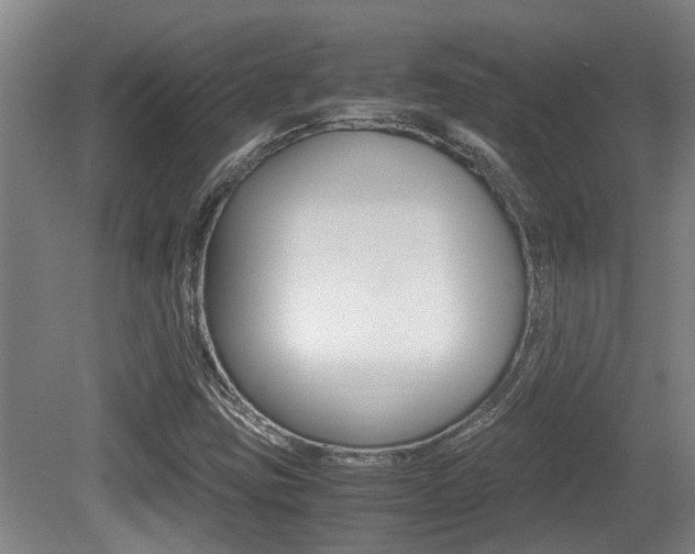 X0000079301403200611170817