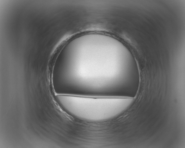 X0000079301408200611170817