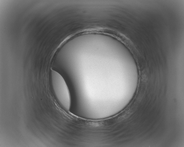 X0000079301409200611170817