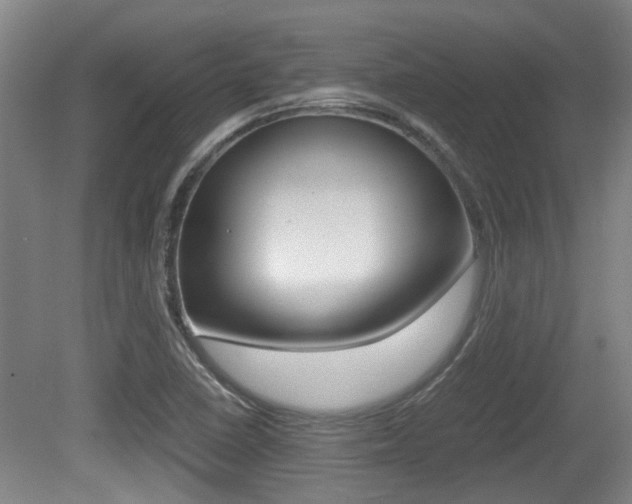 X0000079301410200611170817