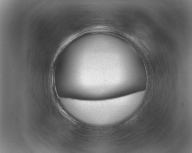X0000079301413200611170817