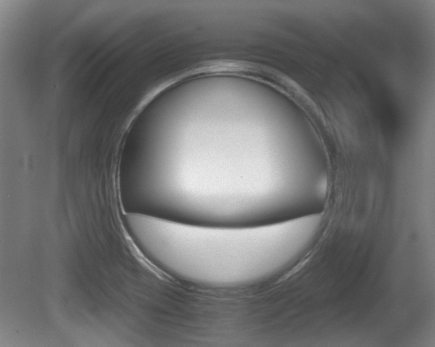 X0000079301417200611170817