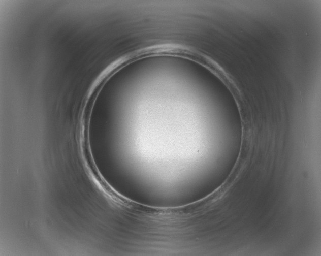 X0000079301418200611170817