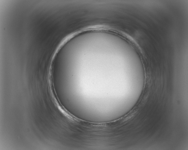 X0000079301421200611170817
