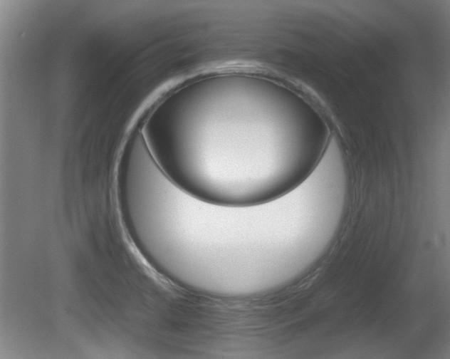 X0000079301422200611170817