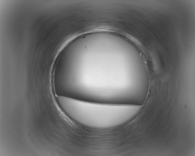 X0000079301423200611170817