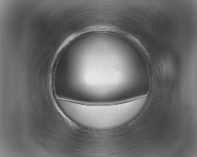 X0000079301424200611170817