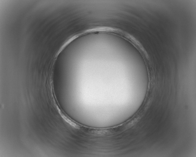 X0000079301425200611170817