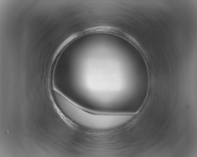 X0000079301426200611170817