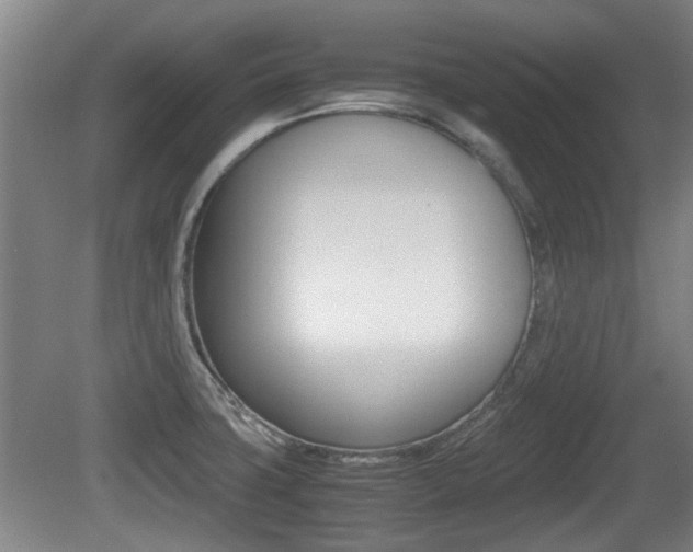 X0000079301427200611170817