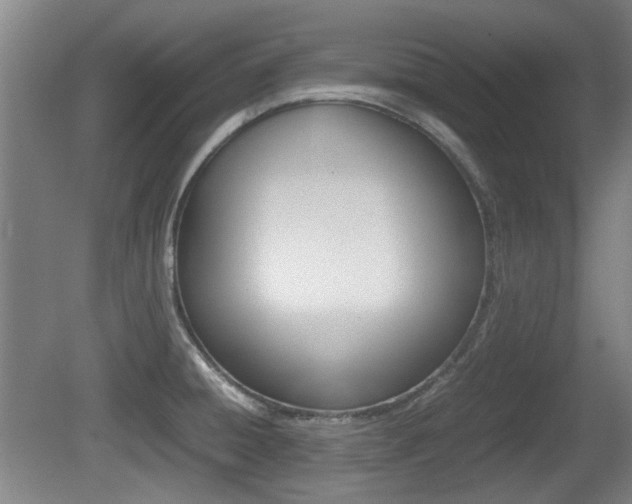 X0000079301428200611170817
