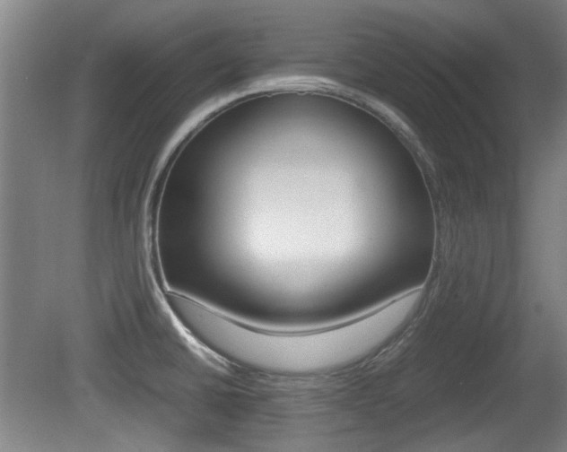 X0000079301430200611170817