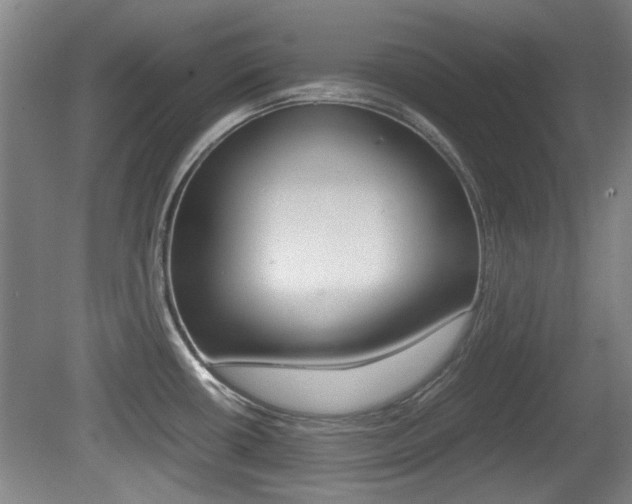 X0000079301434200611170817