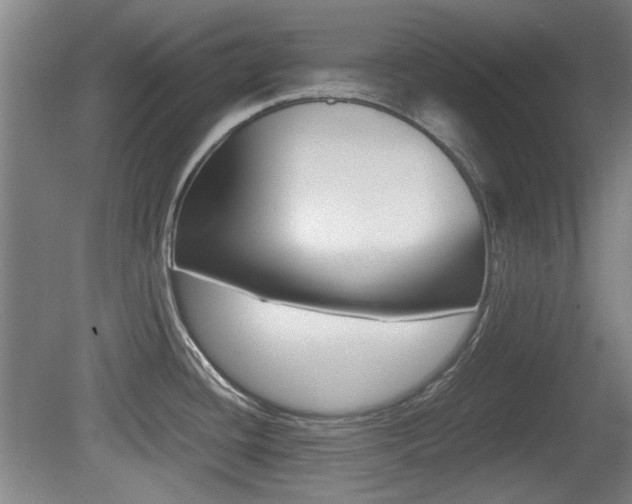 X0000079301436200611170817