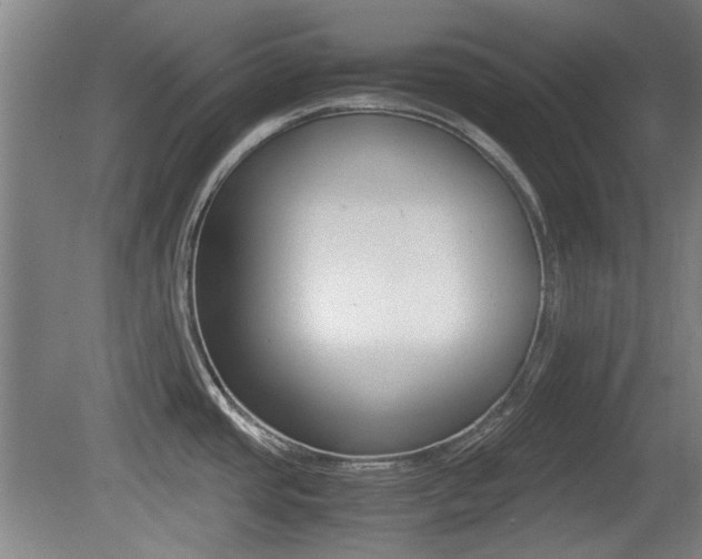 X0000079301437200611170817
