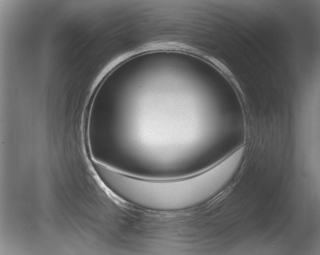 X0000079301438200611170817