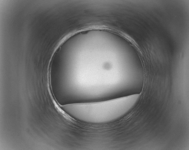 X0000079301439200611170817