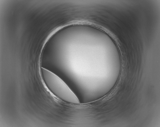 X0000079301440200611170817