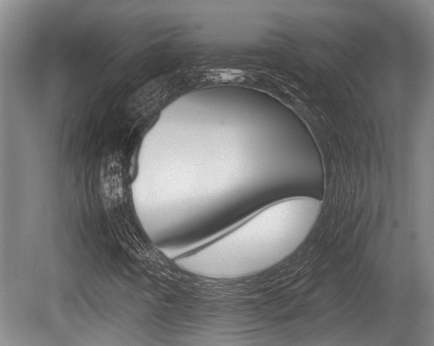 X0000079301442200611170817