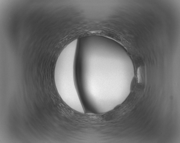 X0000079301443200611170817