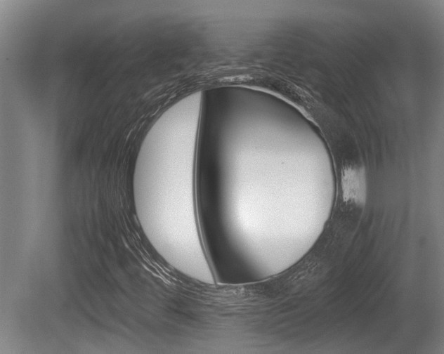 X0000079301444200611170817