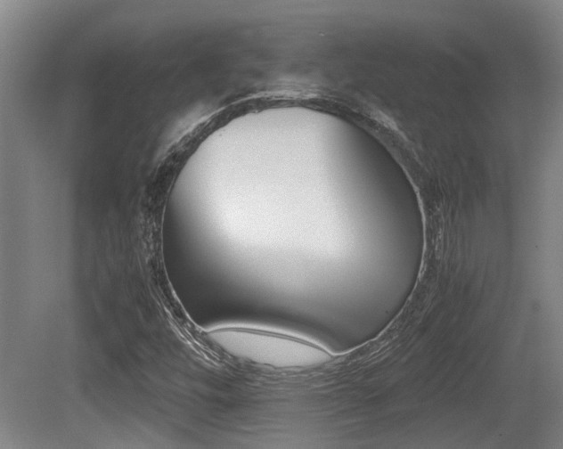 X0000079301448200611170816