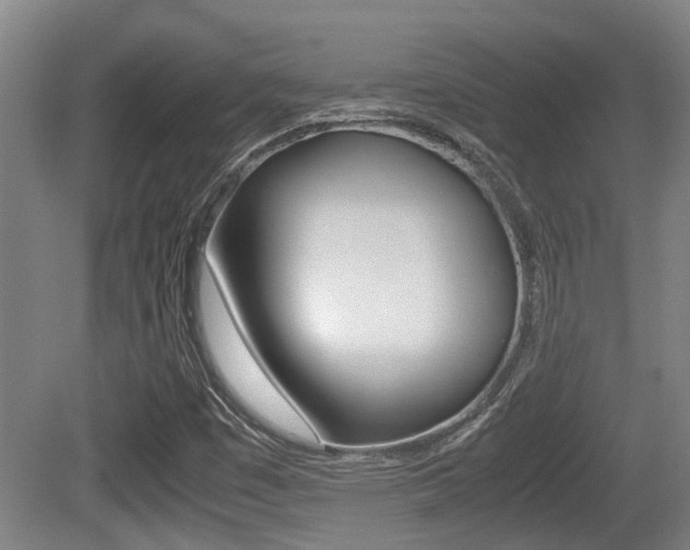 X0000079301449200611170816