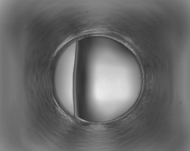 X0000079301450200611170816
