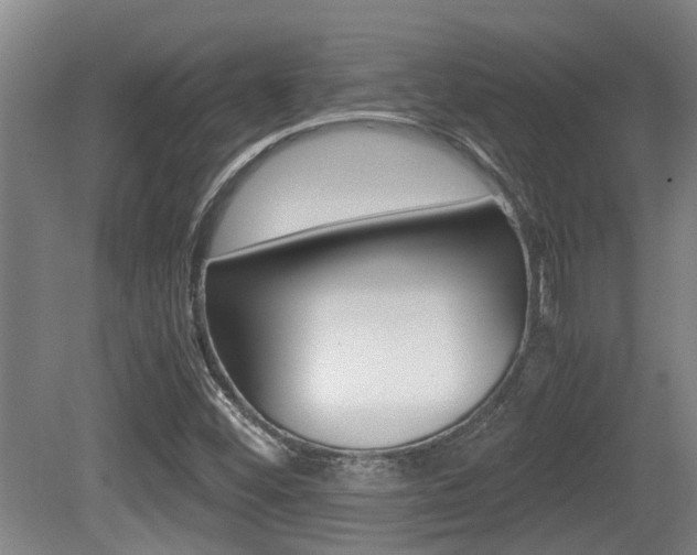 X0000079301452200611170816