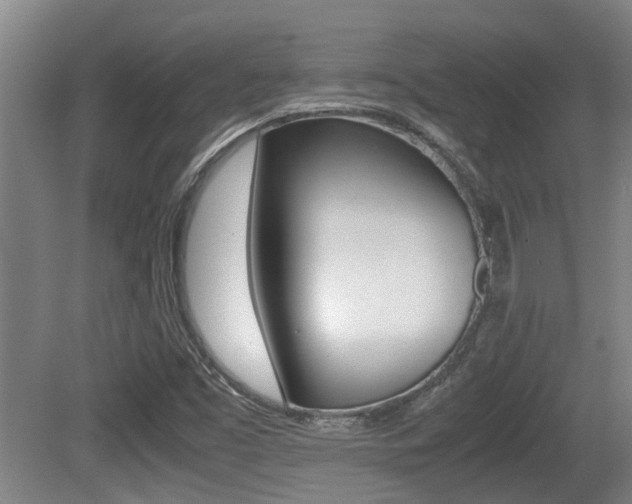 X0000079301453200611170816