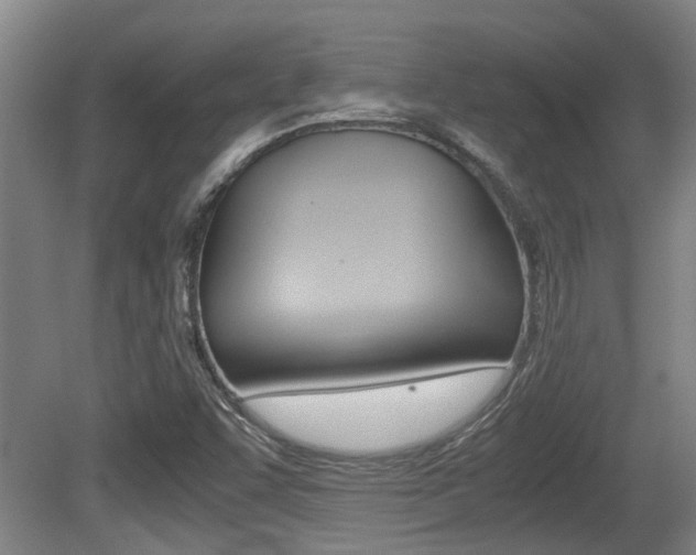 X0000079301455200611170816