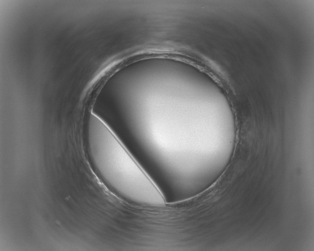 X0000079301456200611170816