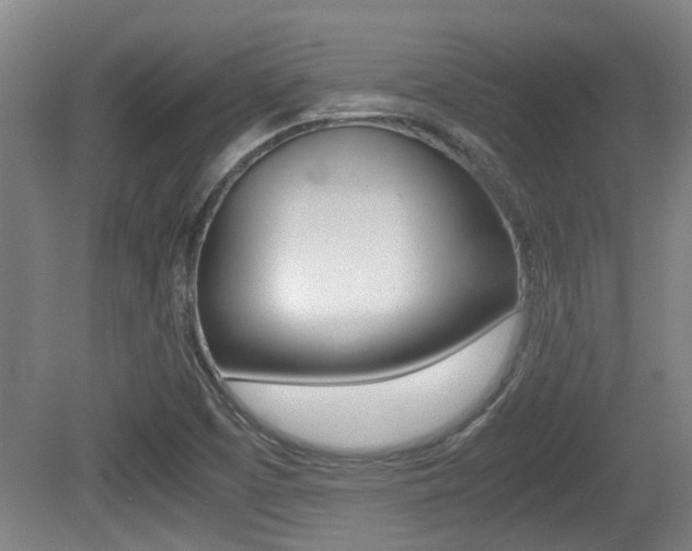 X0000079301457200611170816