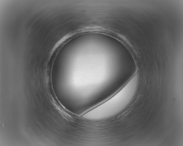 X0000079301458200611170816