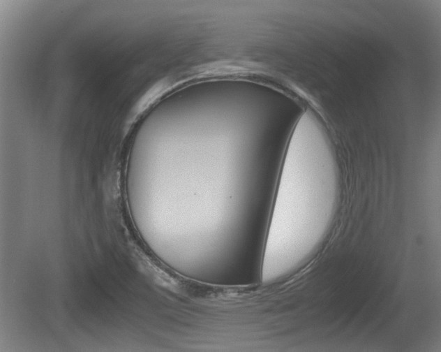 X0000079301459200611170816