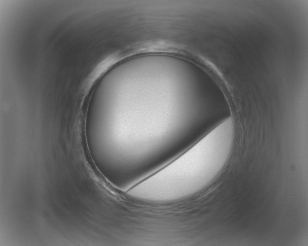 X0000079301463200611170816