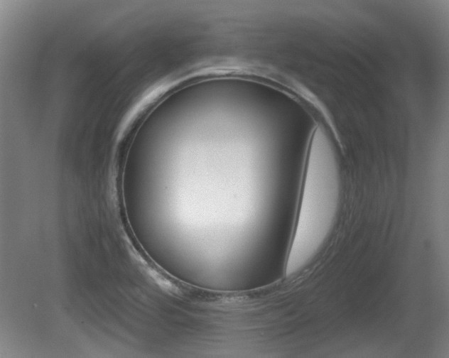 X0000079301464200611170816