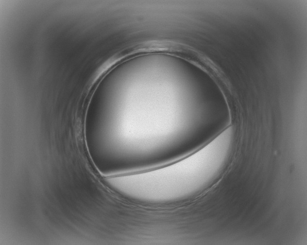 X0000079301465200611170816