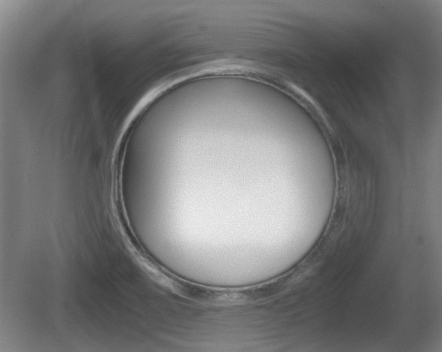 X0000079301467200611170816