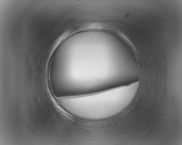 X0000079301475200611170816
