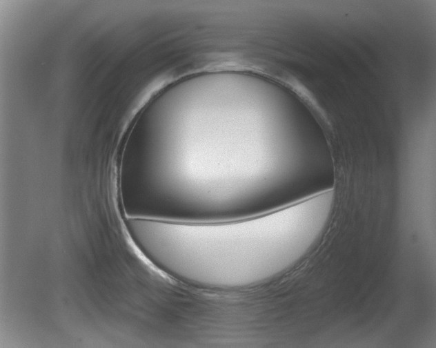 X0000079301476200611170816