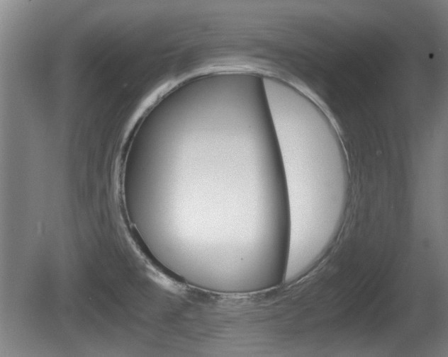 X0000079301477200611170816