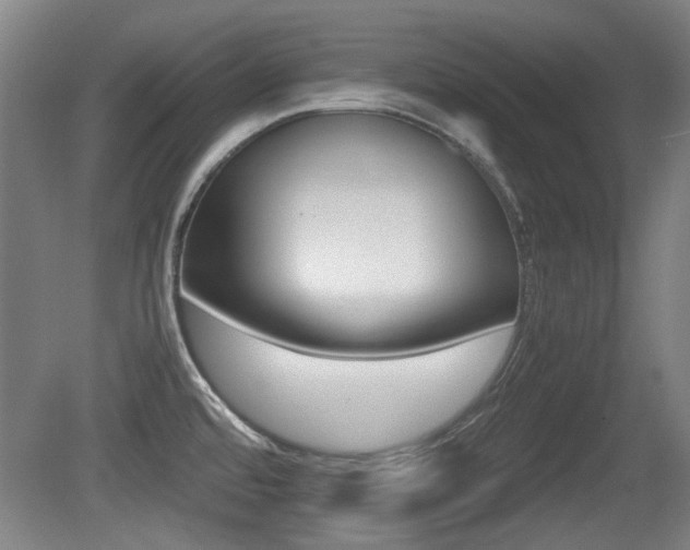 X0000079301480200611170816